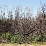 Wilson Promontory Park